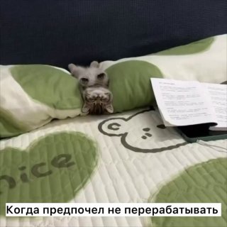 Трудоголизм: Как работа влияет на продолжительность жизни
