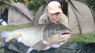 В Хлевенском округе поймали рекордного амура весом 17 кг