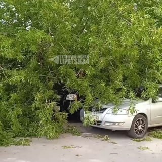 Дерево упало на автомобили: инцидент на улице Громовой
