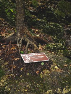 Девонский каньон: Уникальное наследие древнего моря